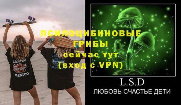 СК Волосово