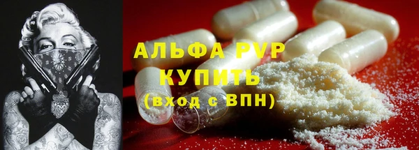 прущие крисы Вяземский