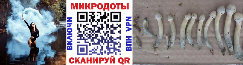 MEGA tor  Гремячинск  Псилоцибиновые грибы Psilocybine cubensis 